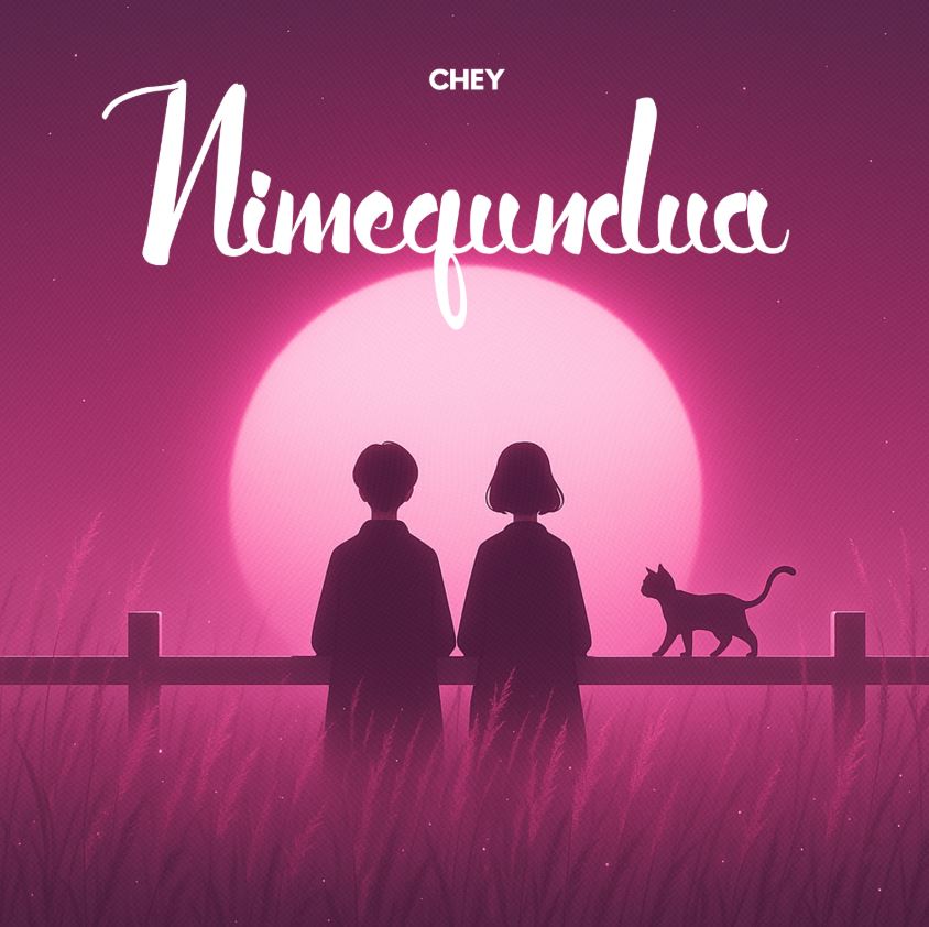 Music Audio : Chey TZ – Nimegundua