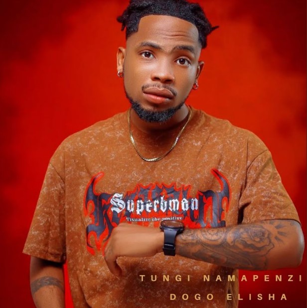 Music Audio : Dogo Elisha – Visa Vya Nini