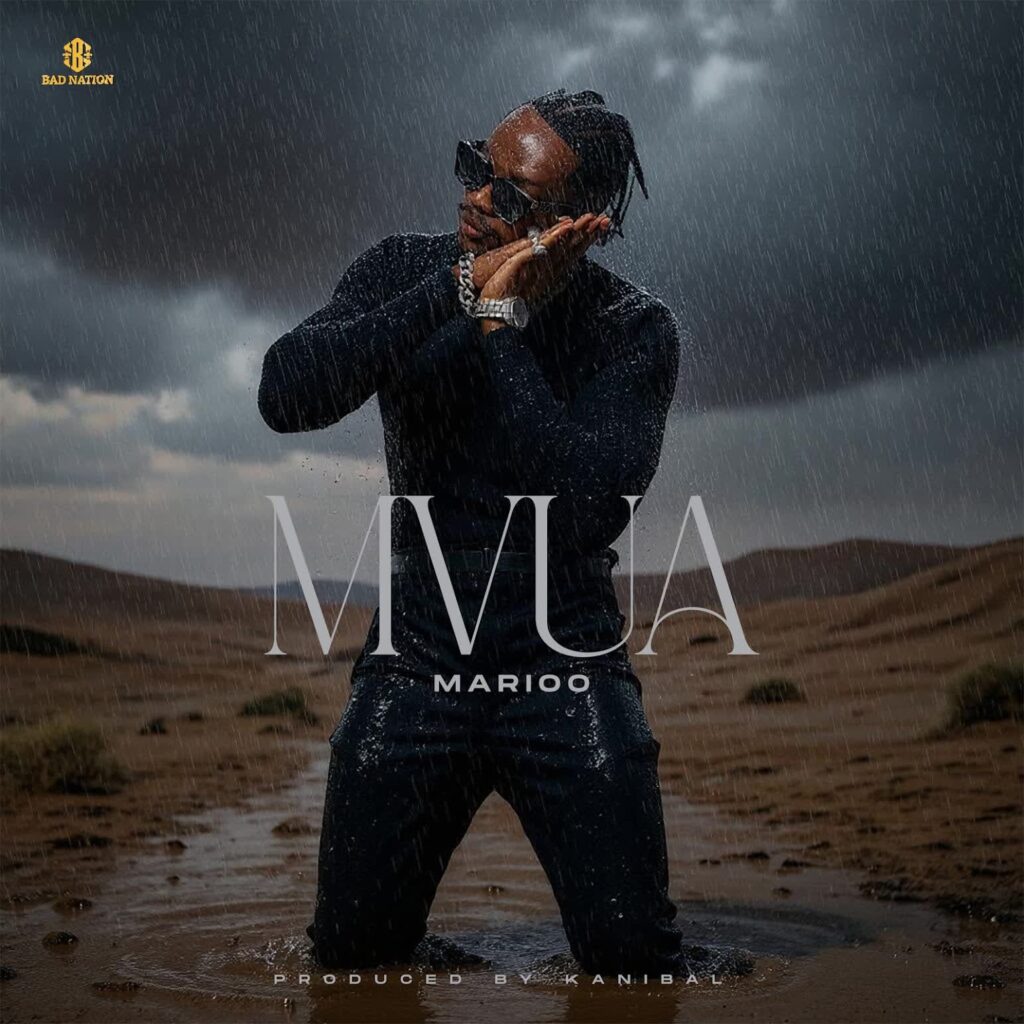 Music Audio : Marioo – Mvua