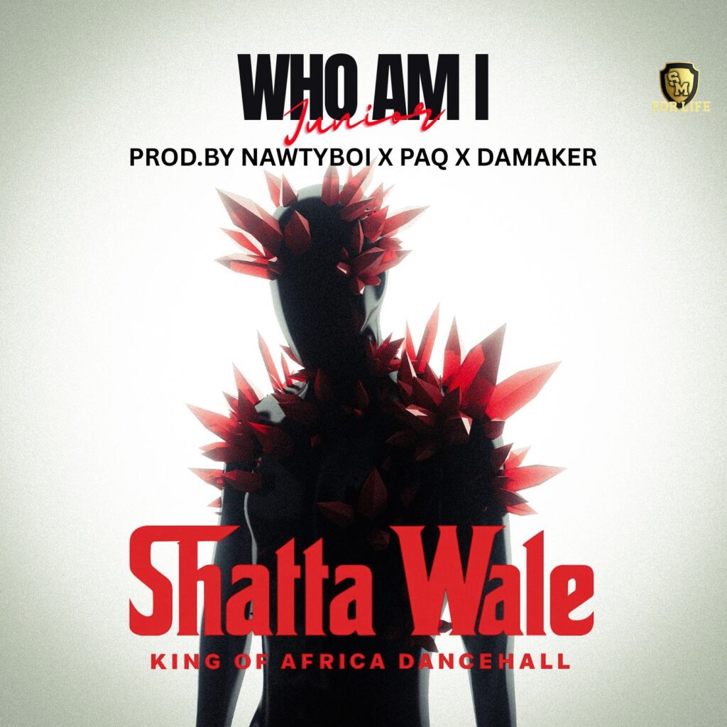 Music Audio : Shatta Wale – Who Am I