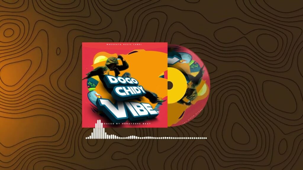 Music Audio : Dogo Chidy – Vibe
