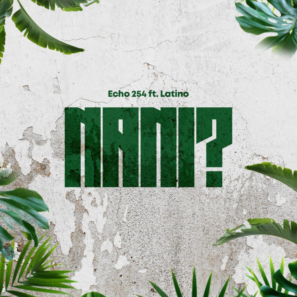 Music Audio : Echo 254 Ft Latinoh – Nani