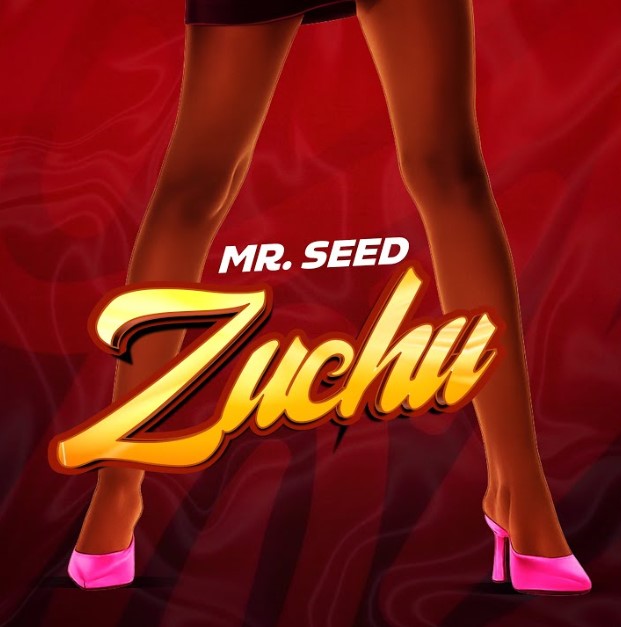 Music Audio : Mr Seed – Zuchu