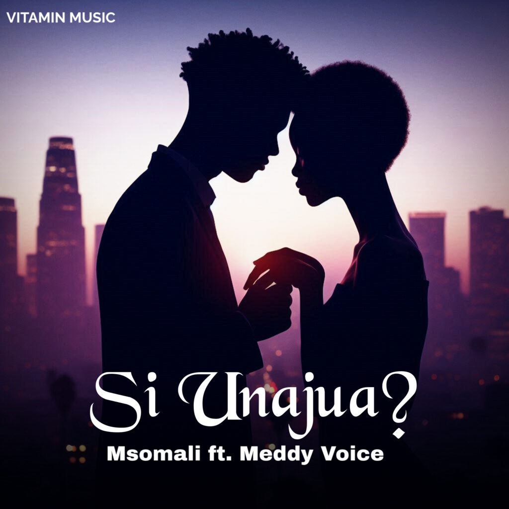 Music Audio : Msomali Ft. Meddy Voice – Si Unajua