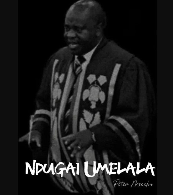 Music Audio : Peter Msechu – Ndugai Umelala | Download