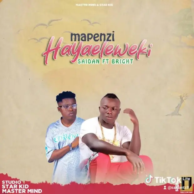 Music Audio : Saidan Ft Bright – Mapenzi Hayaeleweki