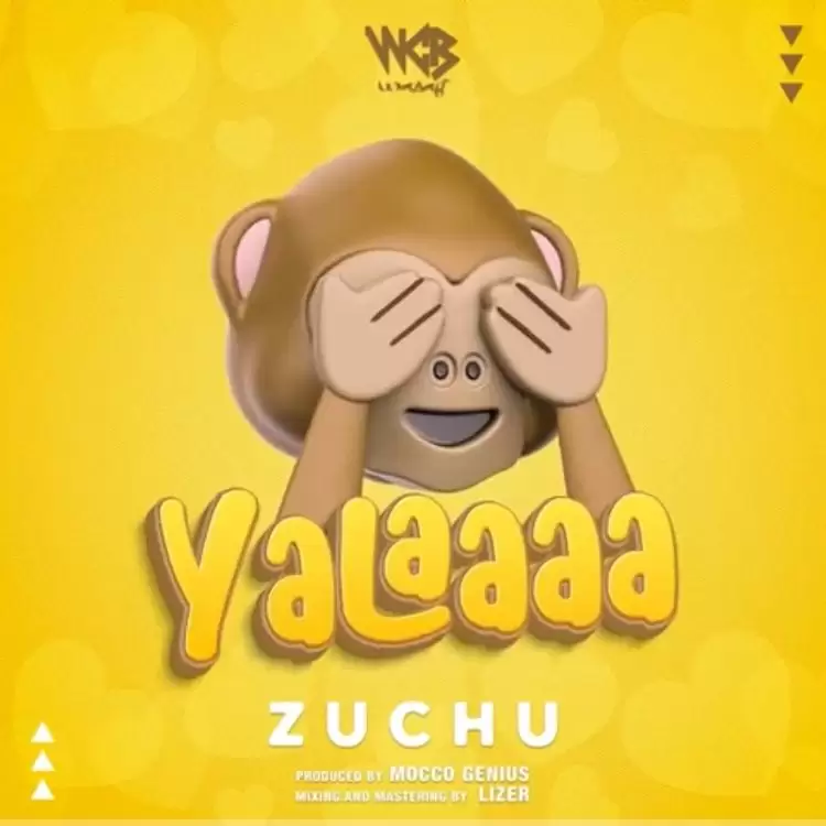 Music Audio : Zuchu – Yalaaaa | Download