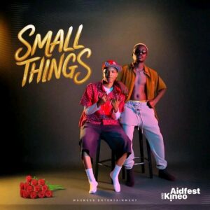 Aidfest Ft Kineo – Small Things