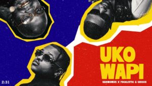 Harmonize Ft Focalistic & Chicco – Uko Wapi