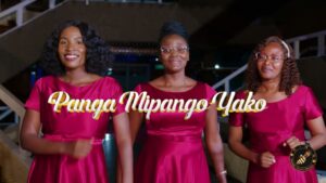Msanii Music Group – Panga Mipango Yako