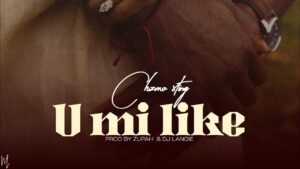 Chizmo Sting – U mi like